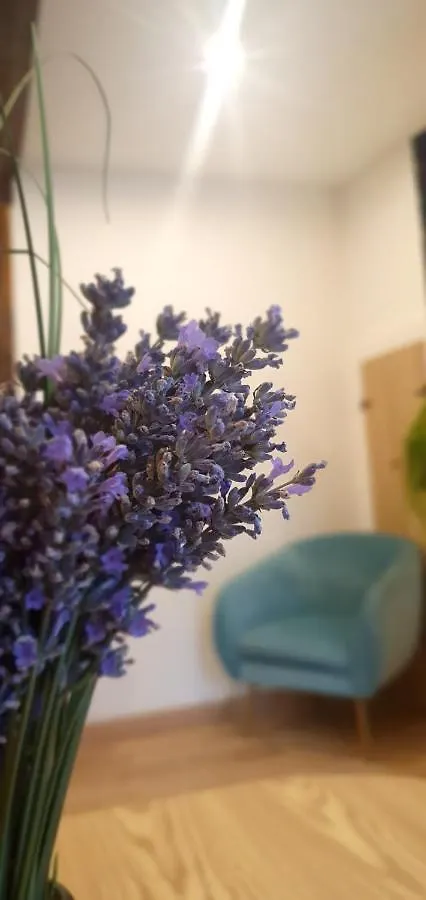 Appartement Maison De Rue: Auch